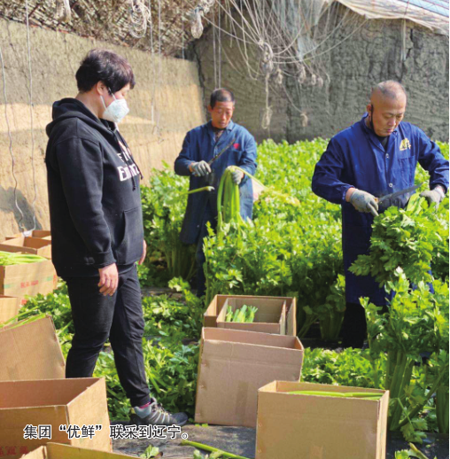 铂莱国际(柬埔寨)官方网站